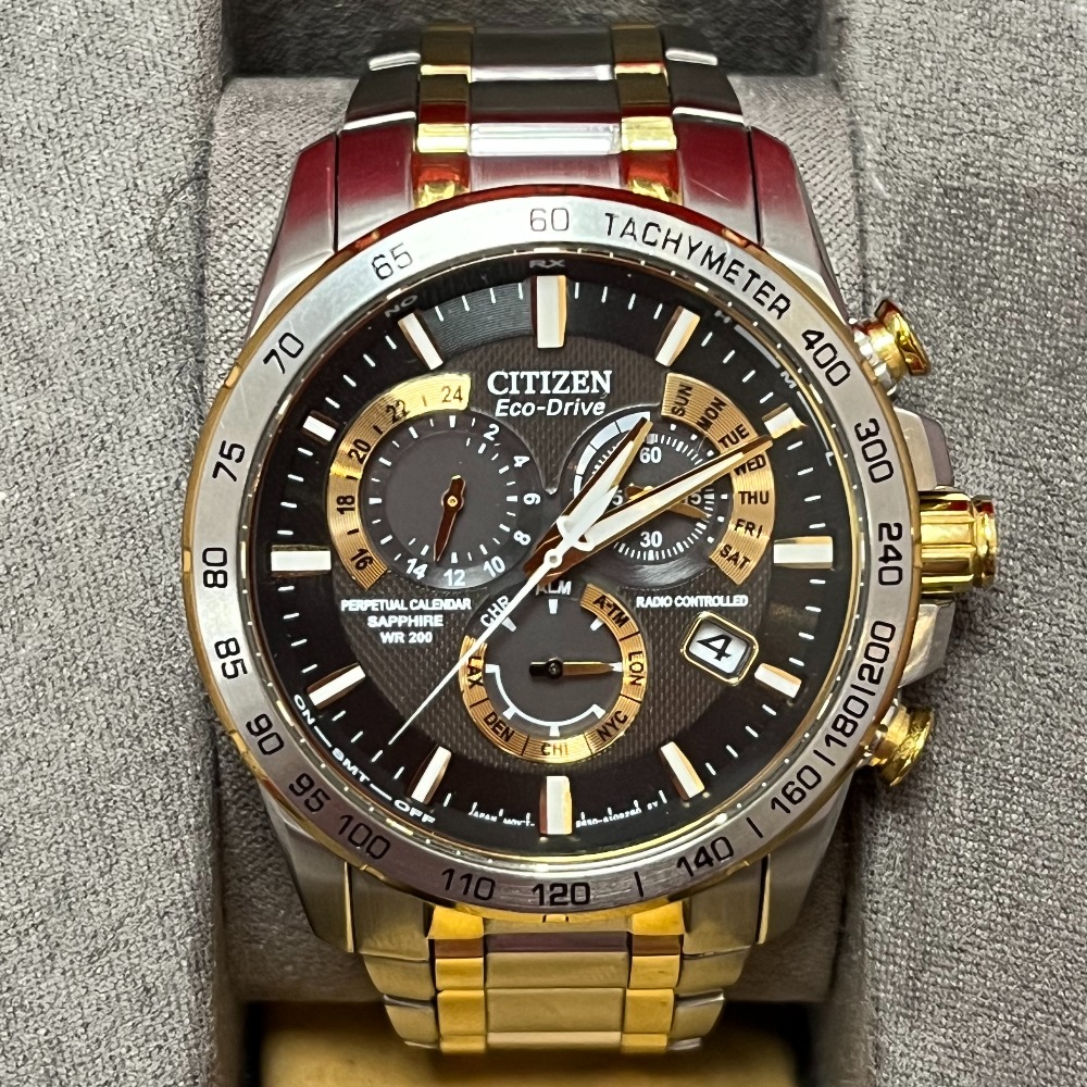 Citizen Citizen Citizen Eco Drive E650 Perpetual Calendar Radio